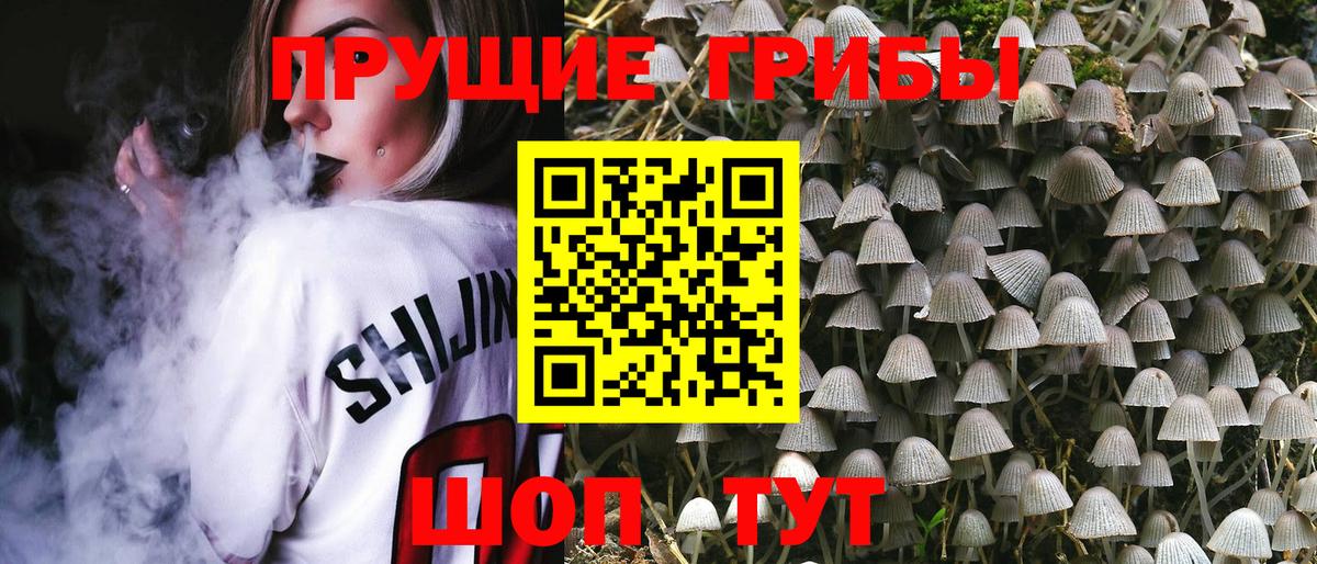 Псилоцибиновые грибы Psilocybine cubensis Костомукша