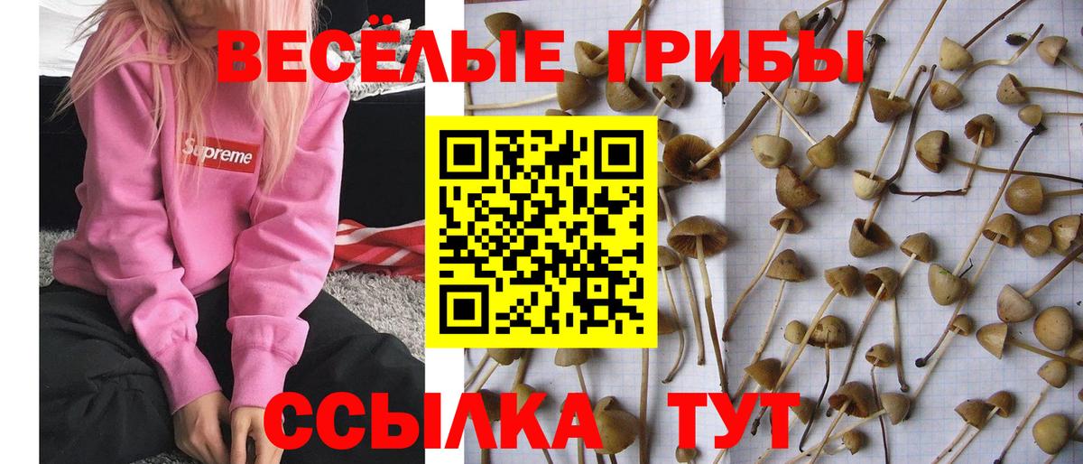 Костомукша  Галлюциногенные грибы мухоморы  Вход с VPN 